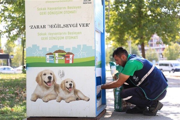 Park ve Bahçeler Müdürlüğü ekipleri yaz boyunca sokak hayvanları ve