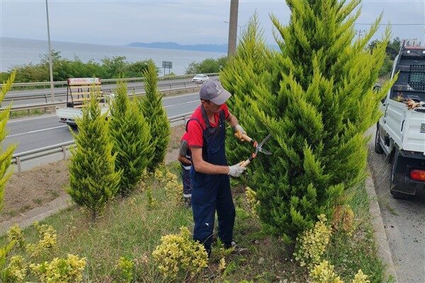 Parklar ve Yeşil Alanlar Dairesi Başkanlığı ekipleri tarafından yürütülen kapsamlı