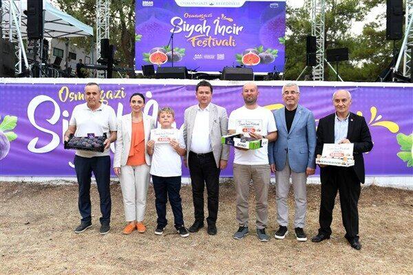 Osmangazi Belediyesi, dünyaca ünlü siyah incir için her yıl düzenlediği