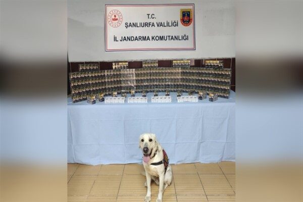Şanlıurfa Valiliğinden söz konusu çalışmalara ilişkin yapılan açıklamaya göre 22.09.2025