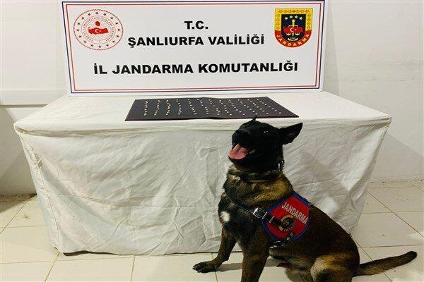 Narkotik Şube Müdürlüğü ile ilçe jandarma ekiplerinin ortak çalışmaları sonucu;