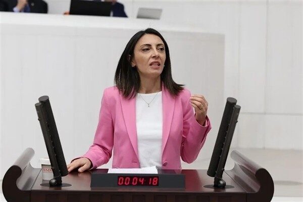 CHP Bursa Milletvekili ve Parti Meclisi Üyesi Kayışoğlu, insan hakları ihlallerinin her