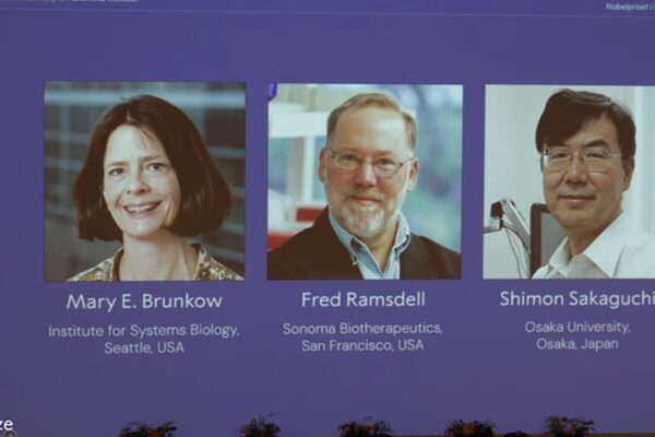 Nobel Komitesi Başkanı Olle Kämpe basın açıklamasında, “Onların keşifleri, bağışıklık