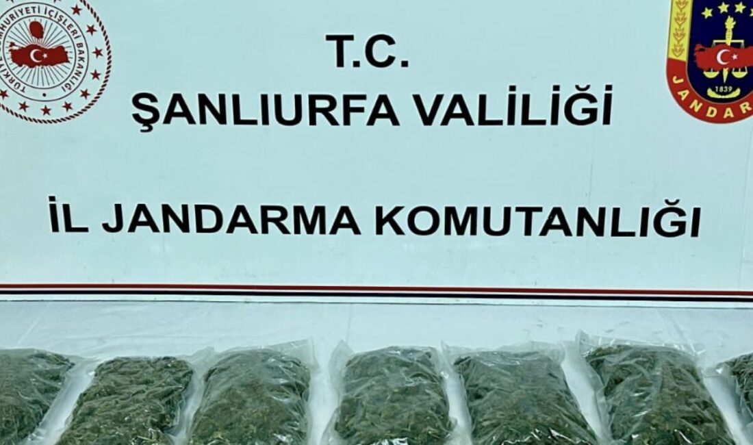 Şanlıurfa İl Jandarma Komutanlığı, narkotik suçlarla mücadele kapsamında 4 Ekim