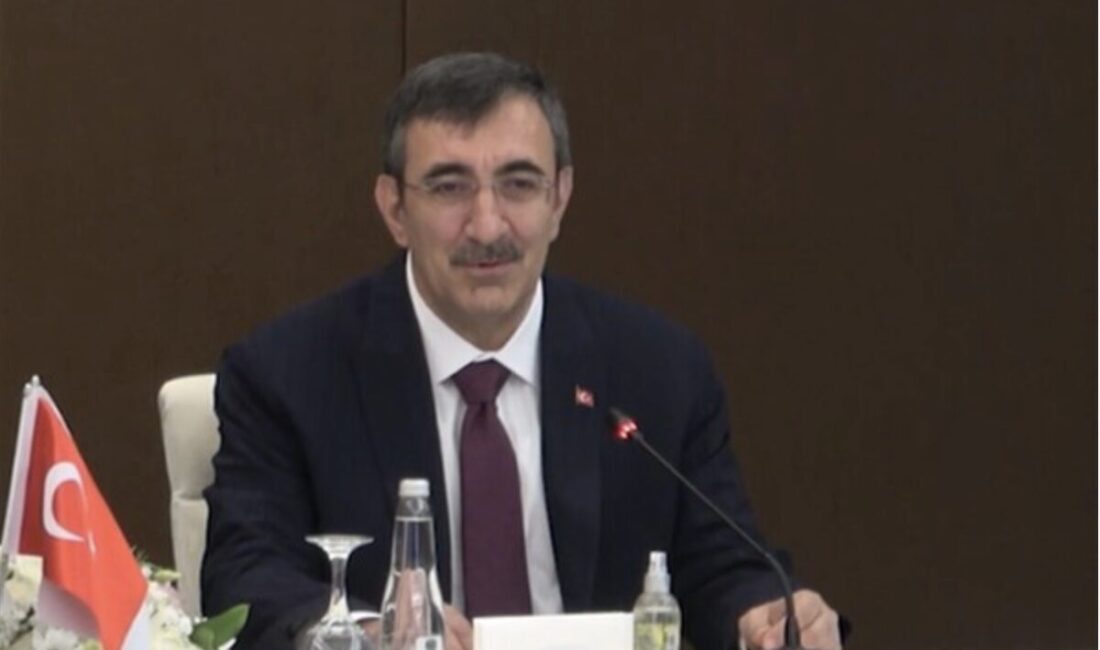 Cumhurbaşkanı Yardımcısı Cevdet Yılmaz, Bingöl programı çerçevesinde bir dizi açılış